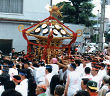 素盞雄神社